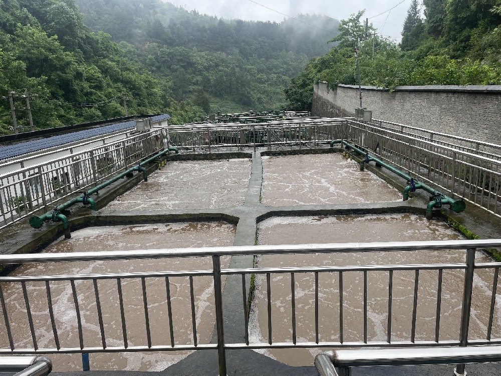 水体氨氮高怎么处理